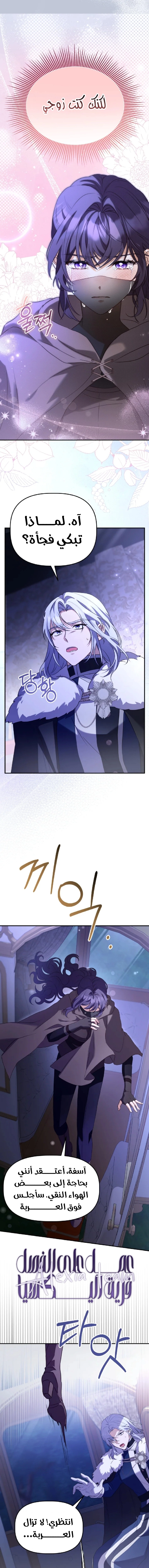 الصفحة 11