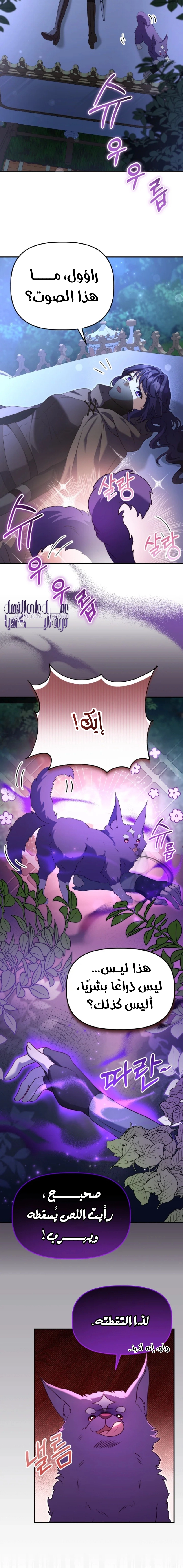 الصفحة 16