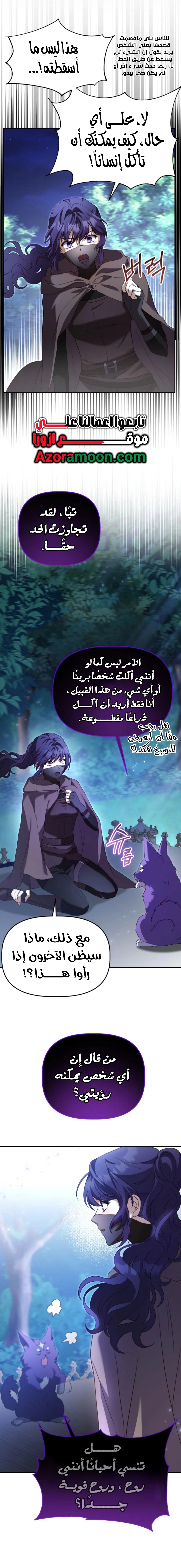 الصفحة 17