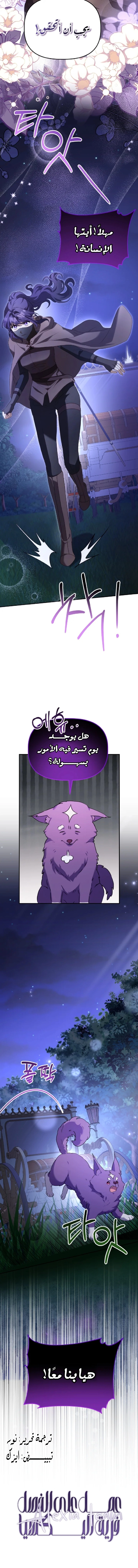 الصفحة 20