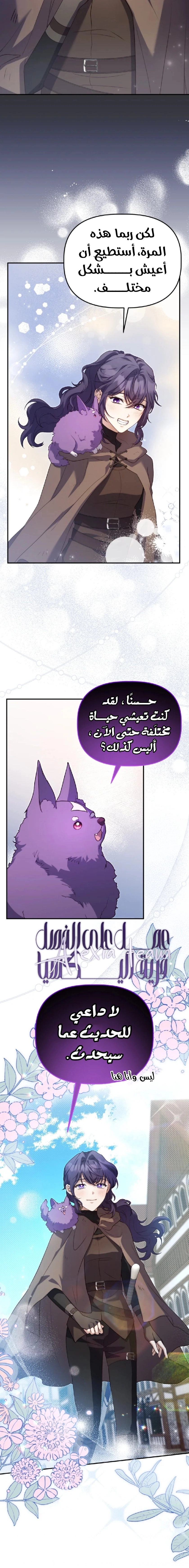 الصفحة 11