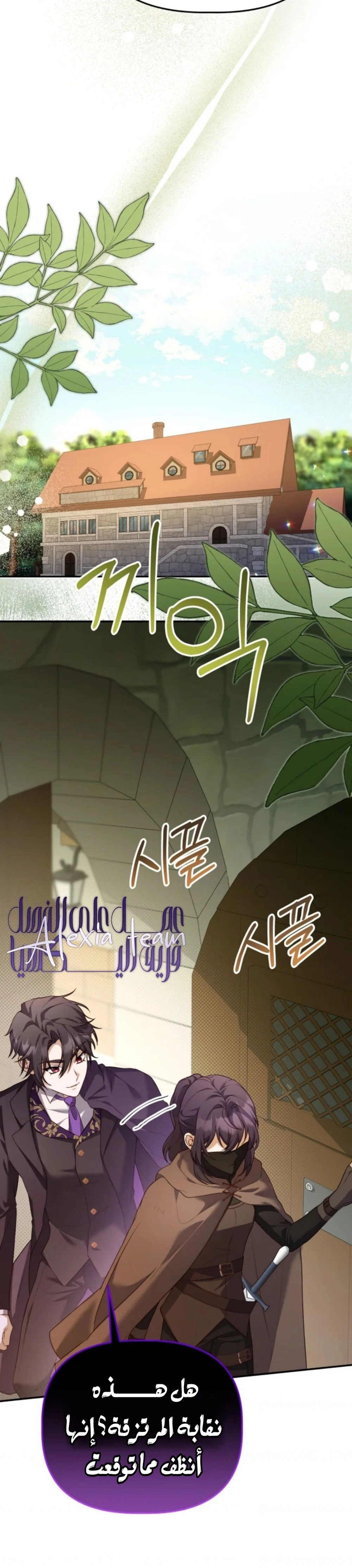 الصفحة 13