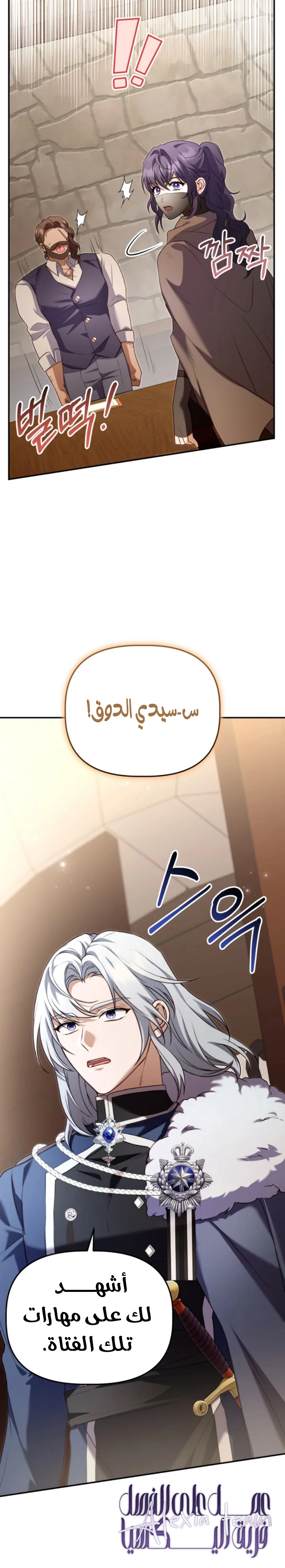 الصفحة 17