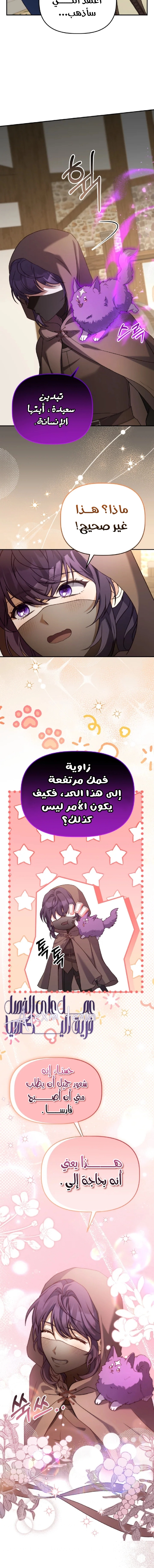 الصفحة 7