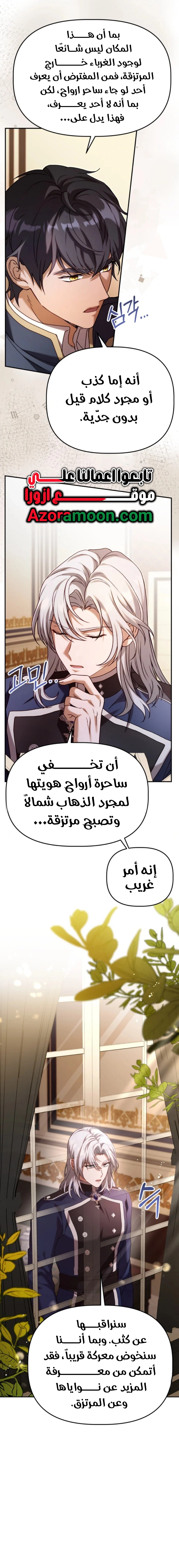 الصفحة 17