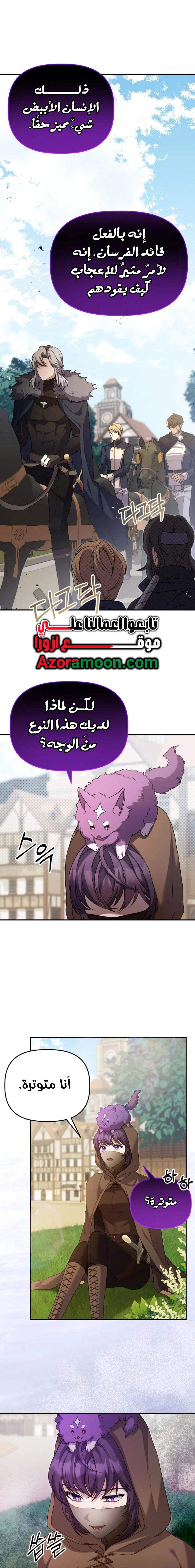 الصفحة 19
