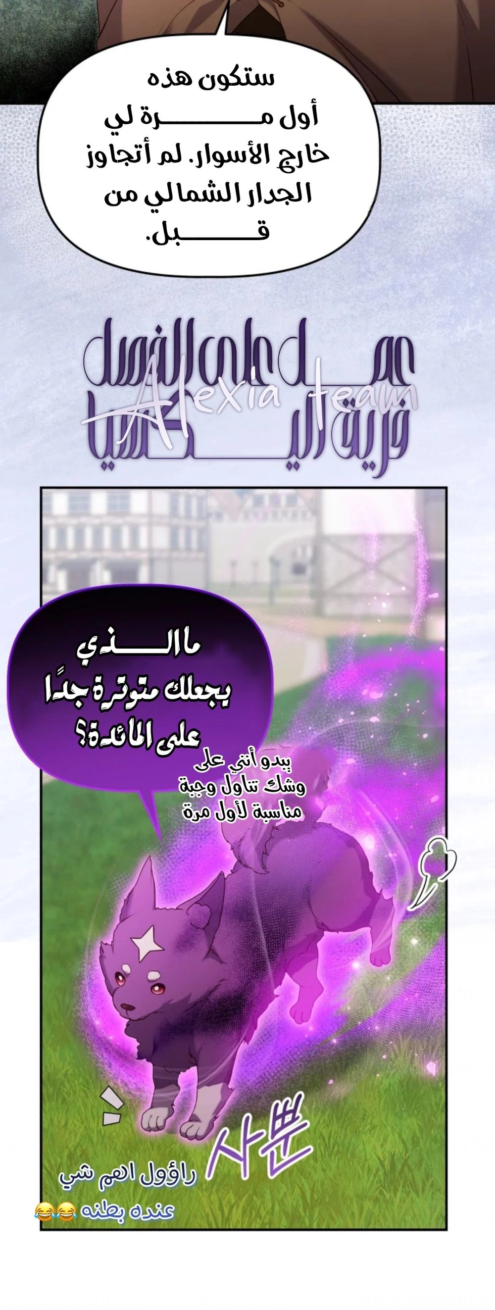 الصفحة 20