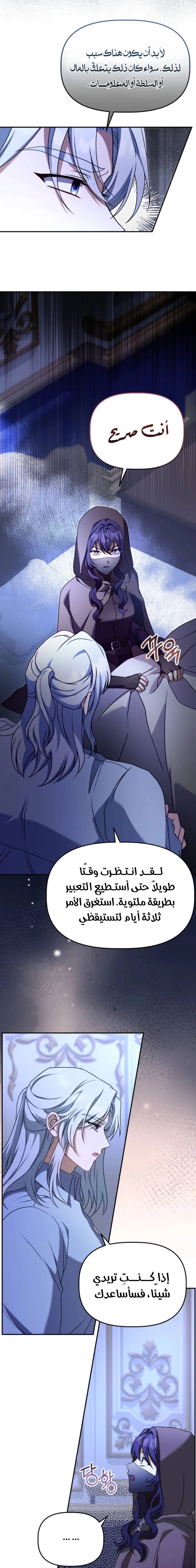 الصفحة 13