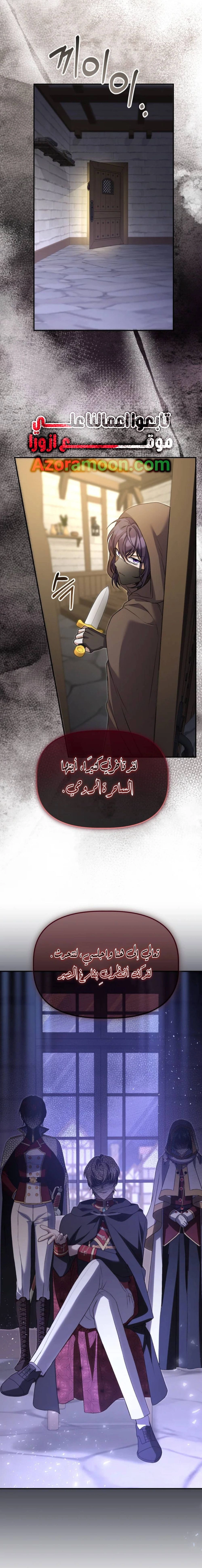 الصفحة 29