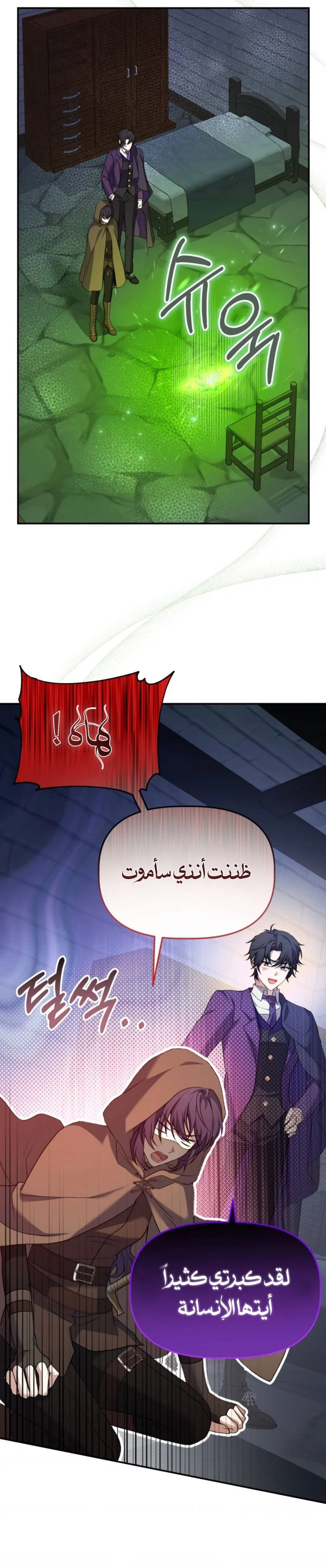 الصفحة 17