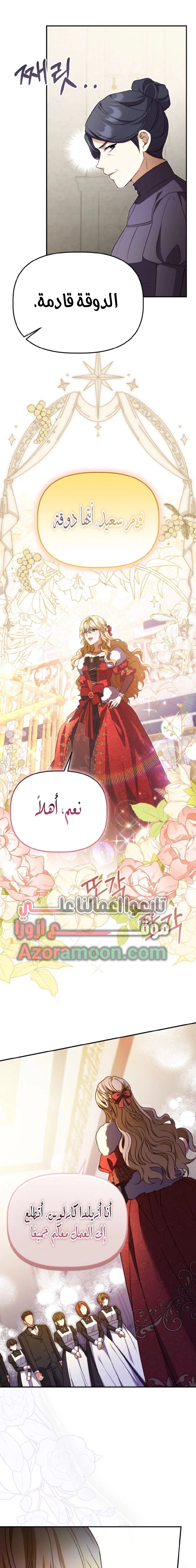 الصفحة 19