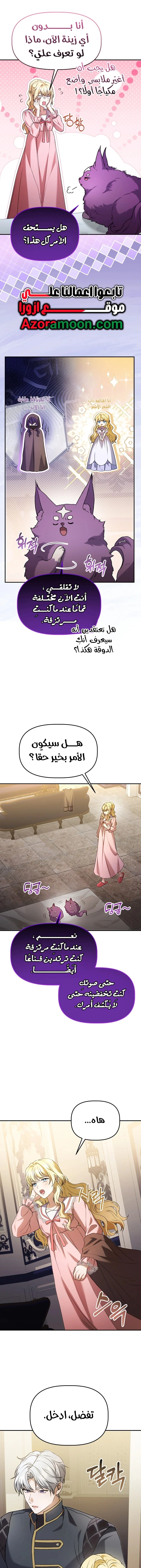 الصفحة 17