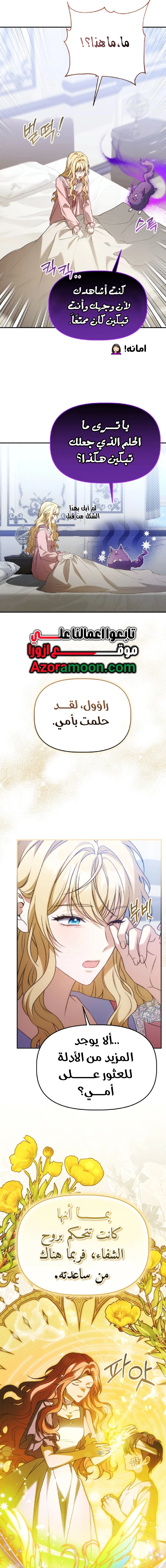 الصفحة 13