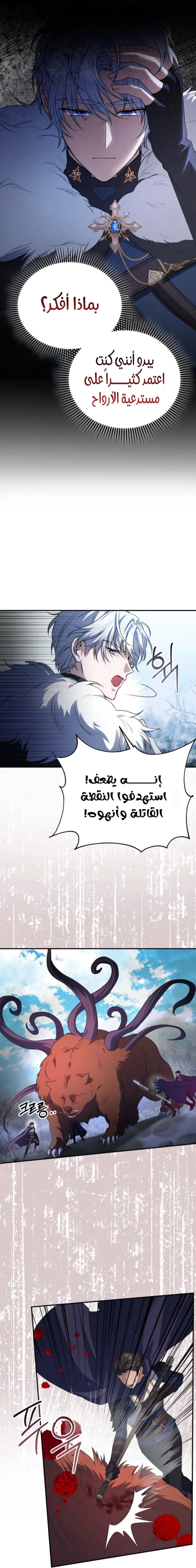 الصفحة 17
