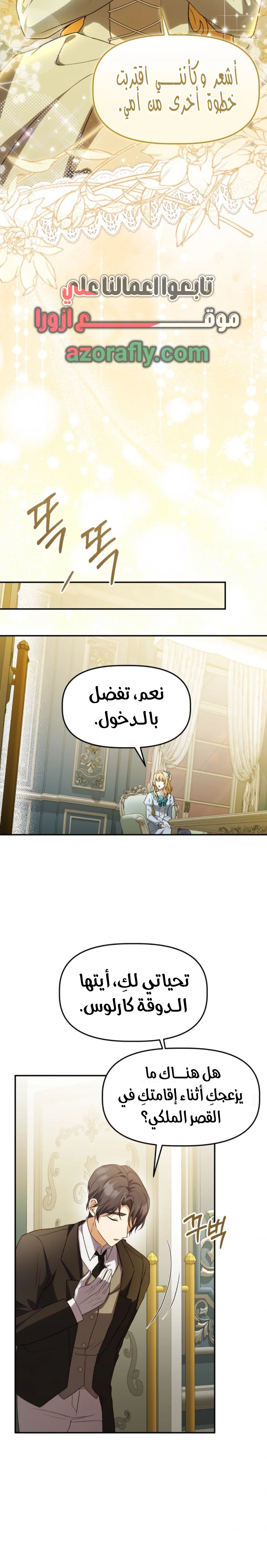 الصفحة 19