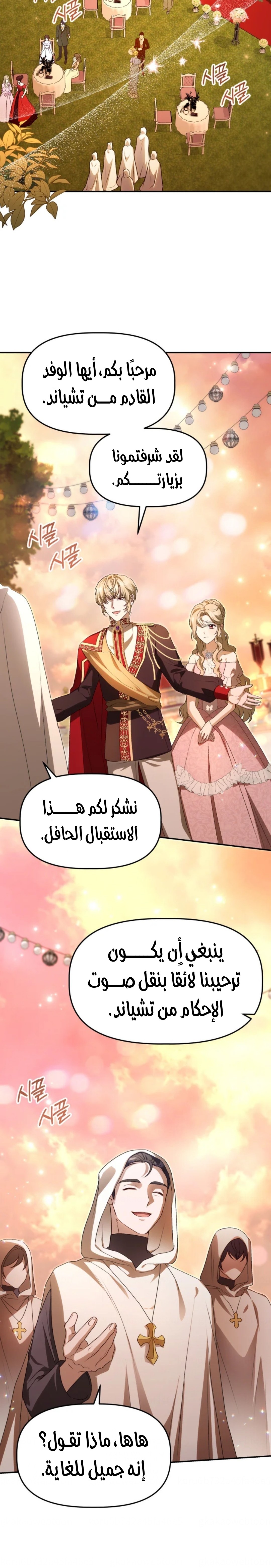 الصفحة 17