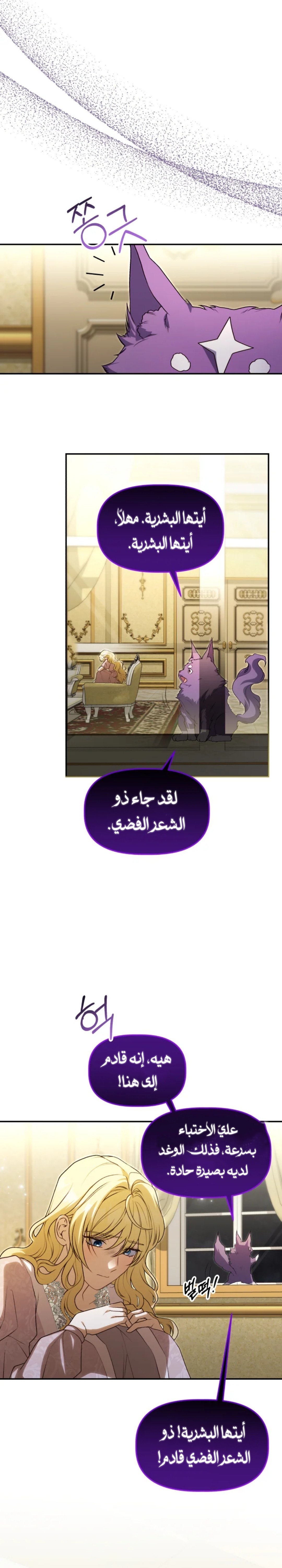 الصفحة 13