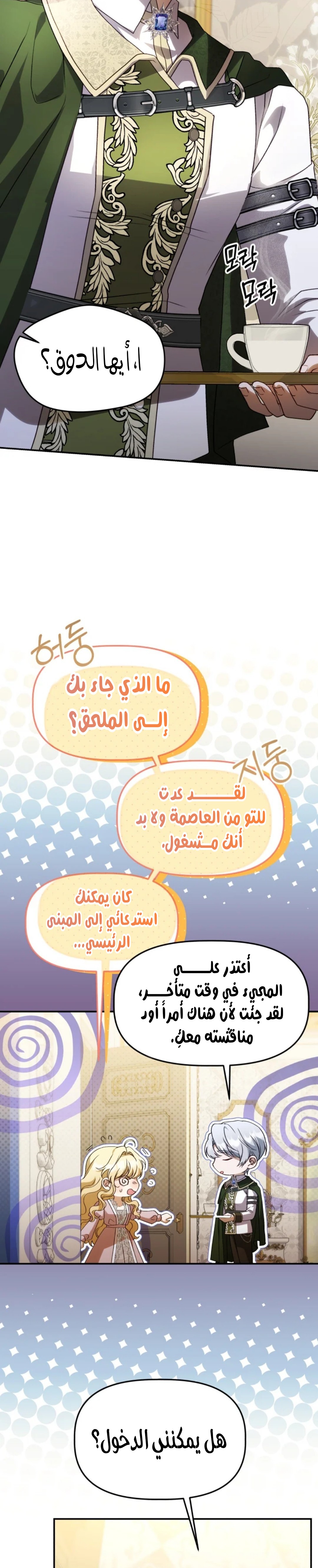 الصفحة 17