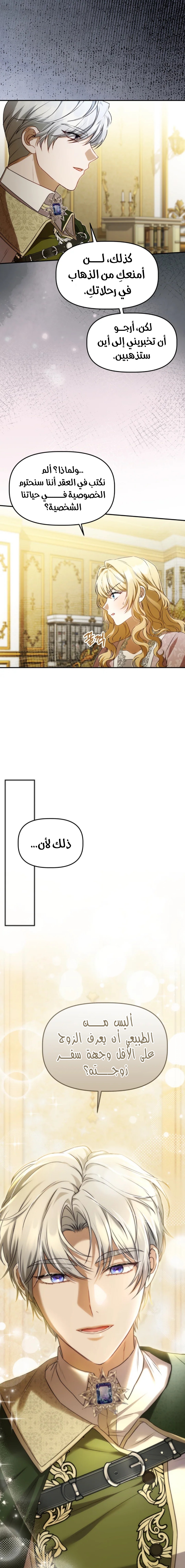 الصفحة 25
