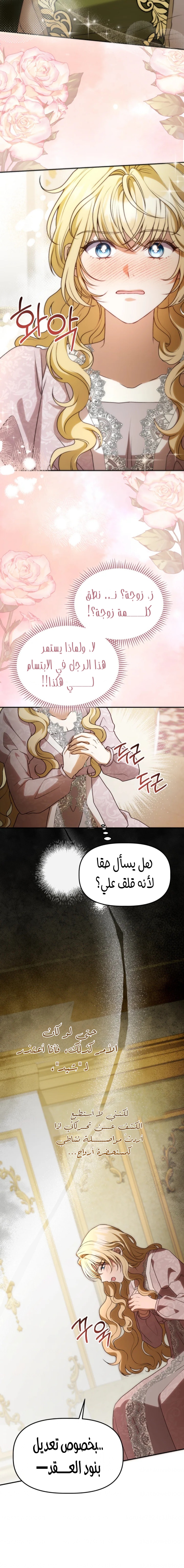 الصفحة 26