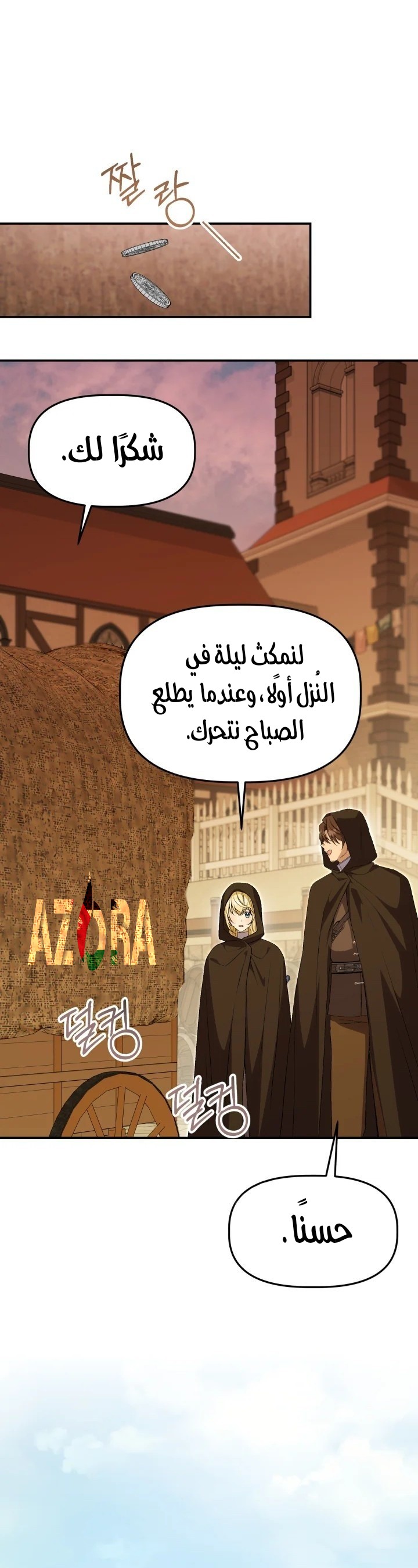 الصفحة 13