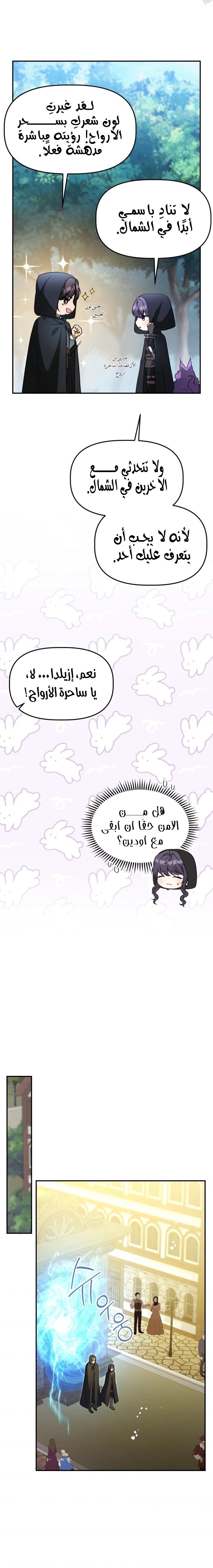 الصفحة 17