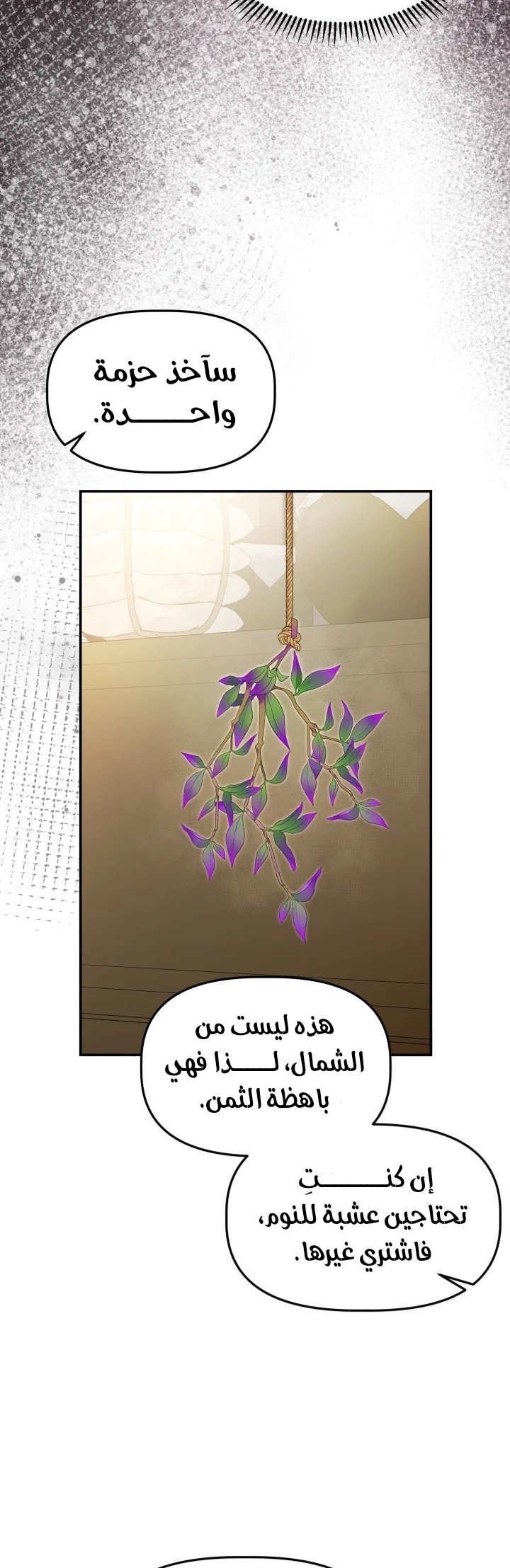 الصفحة 26