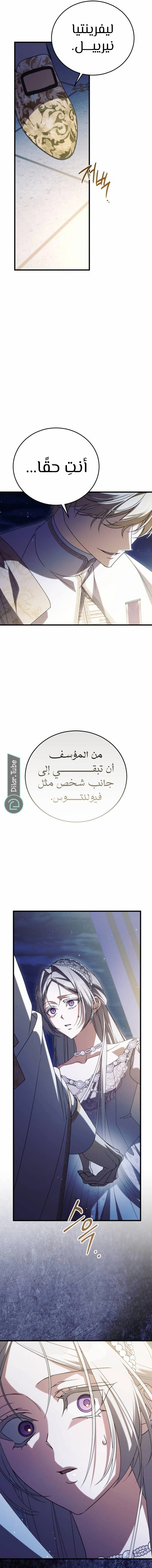 الصفحة 13