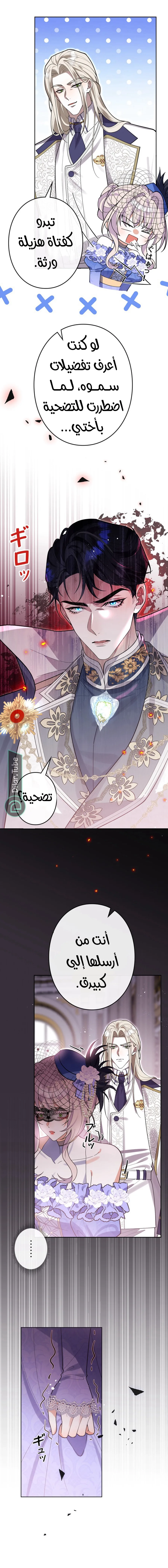 الصفحة 7