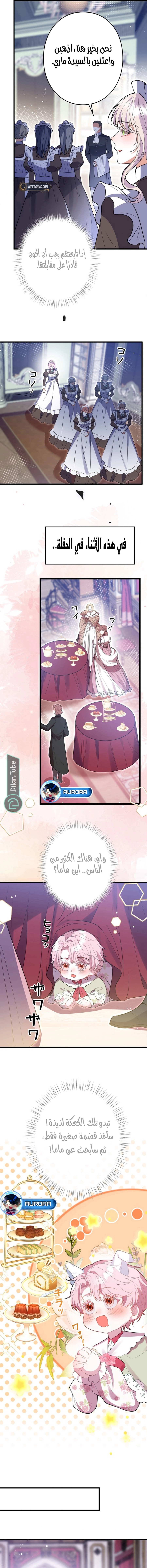 الصفحة 5