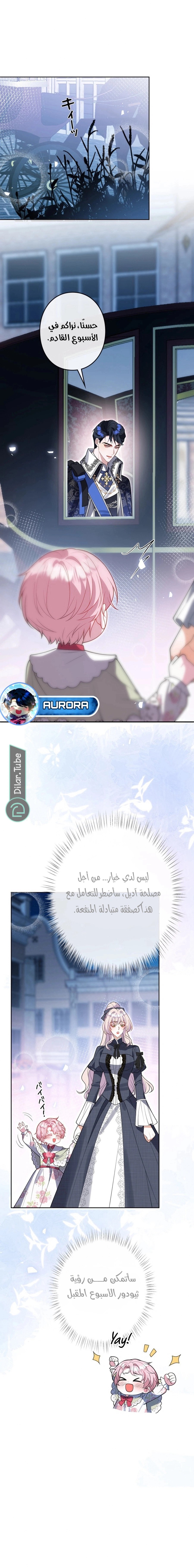 الصفحة 10