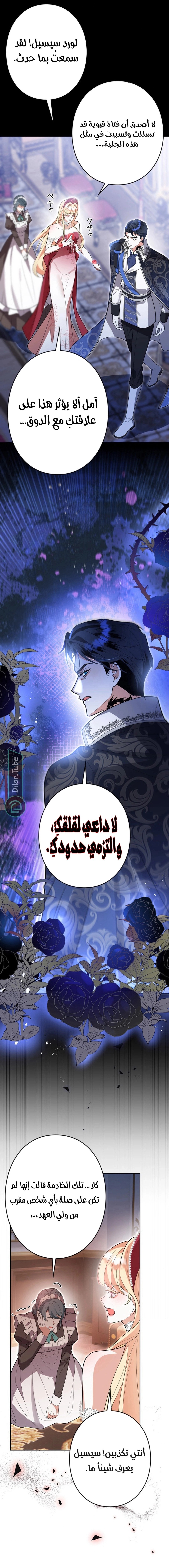 الصفحة 12