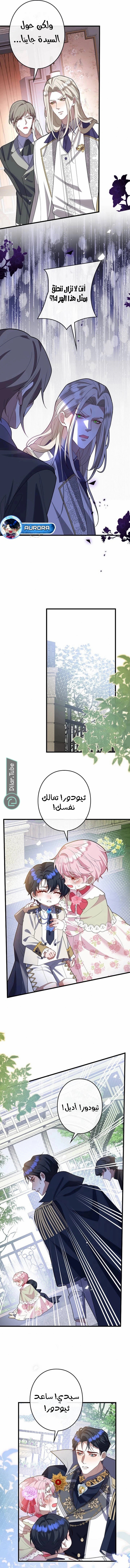 الصفحة 8
