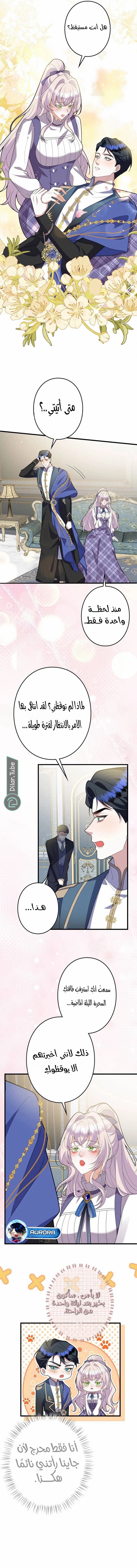 الصفحة 5