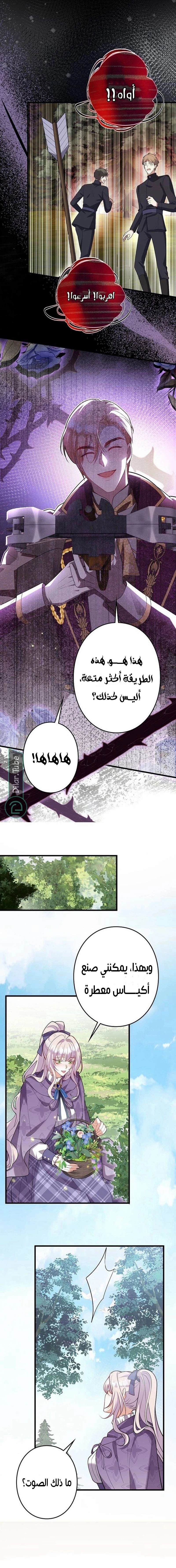 الصفحة 8