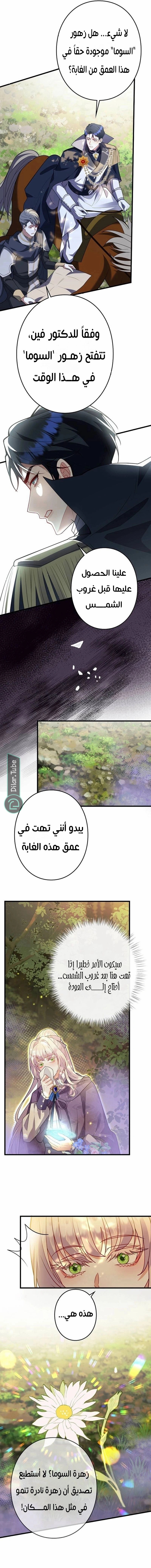 الصفحة 10