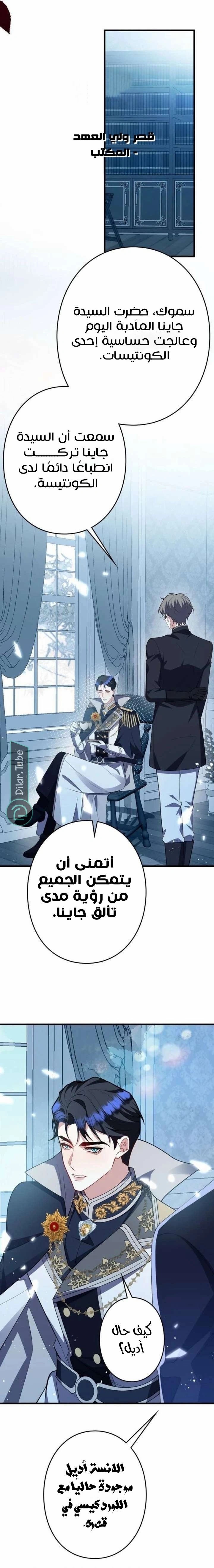 الصفحة 11