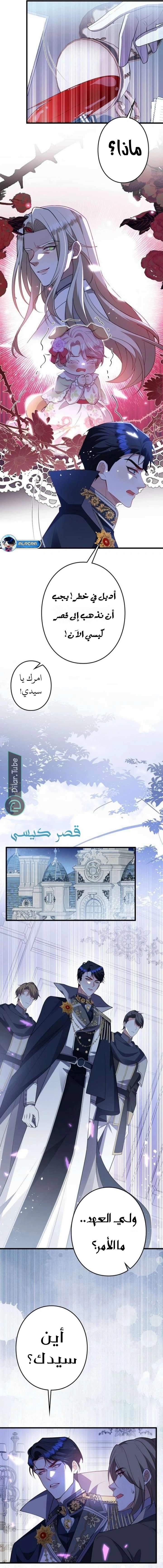 الصفحة 12