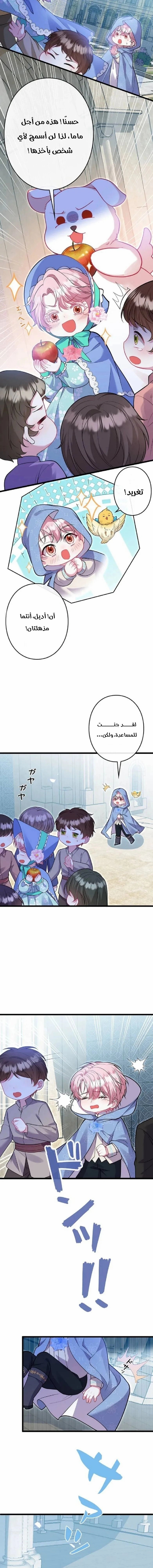 الصفحة 2