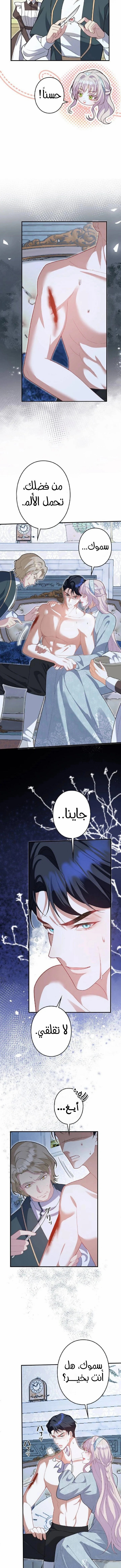 الصفحة 5