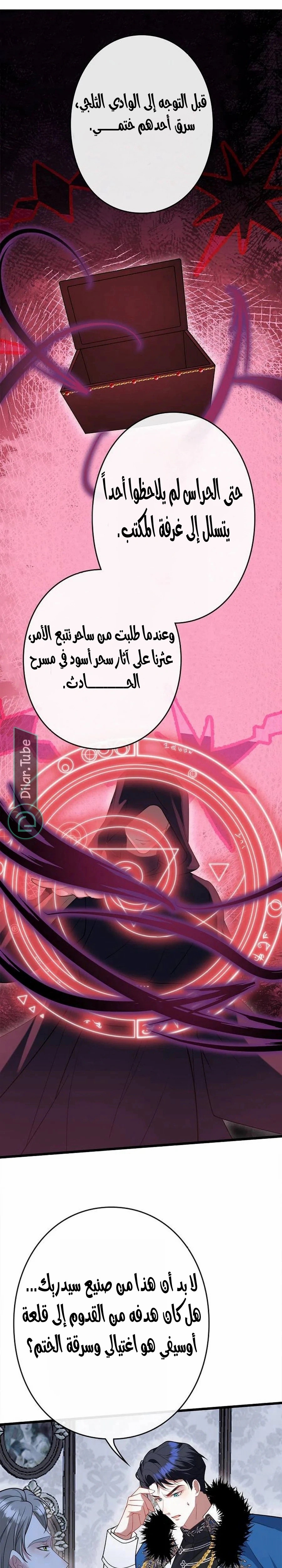 الصفحة 13