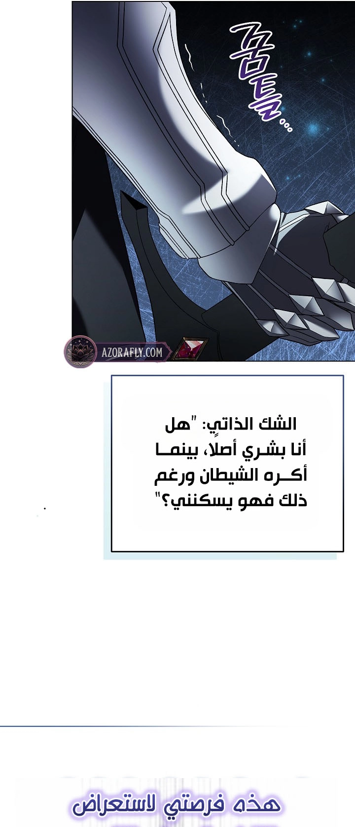 الصفحة 27