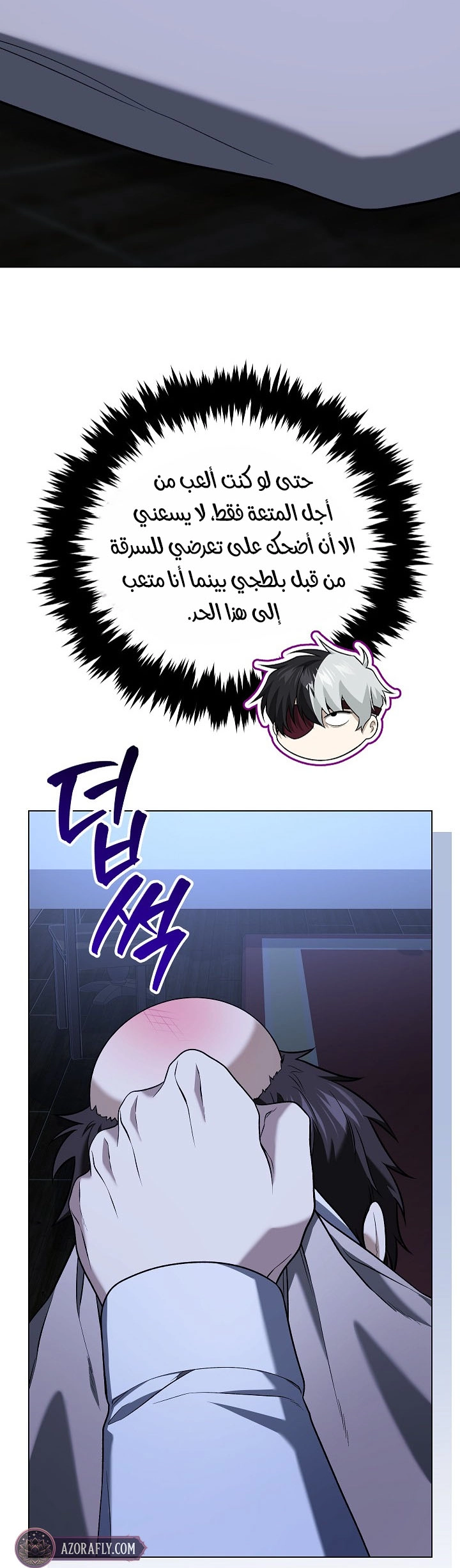 الصفحة 17