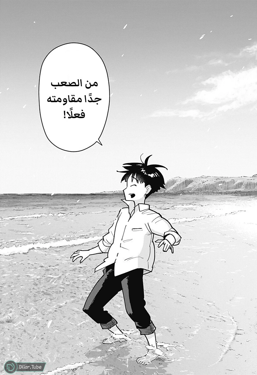 الصفحة 17