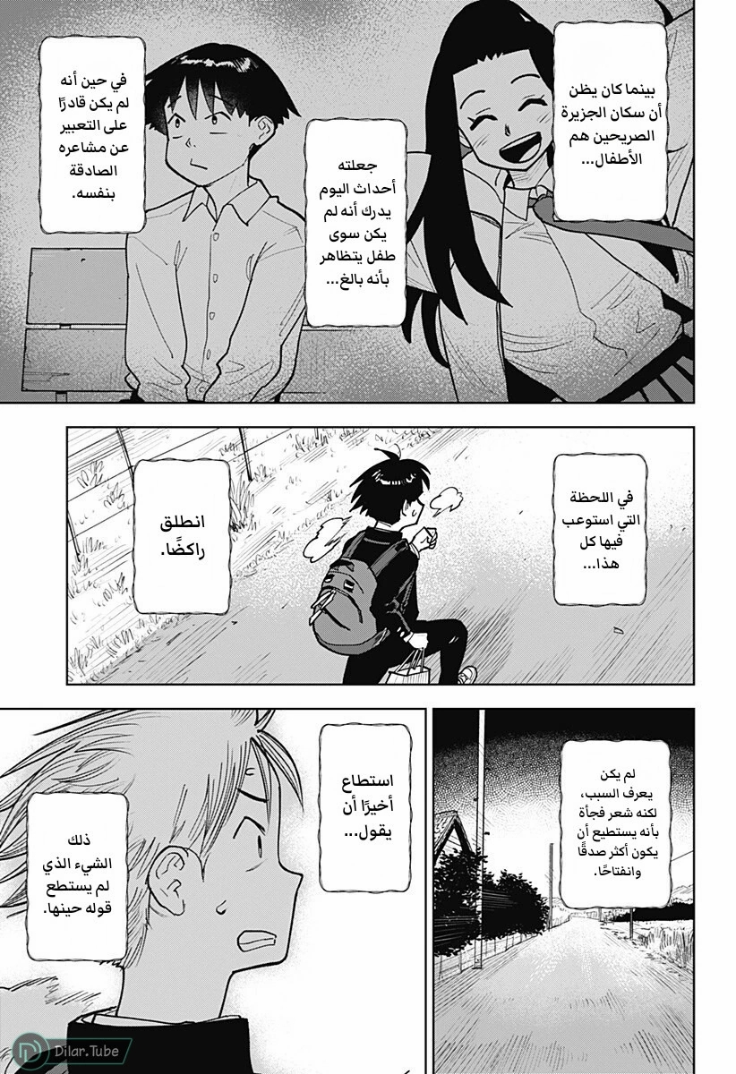 الصفحة 13