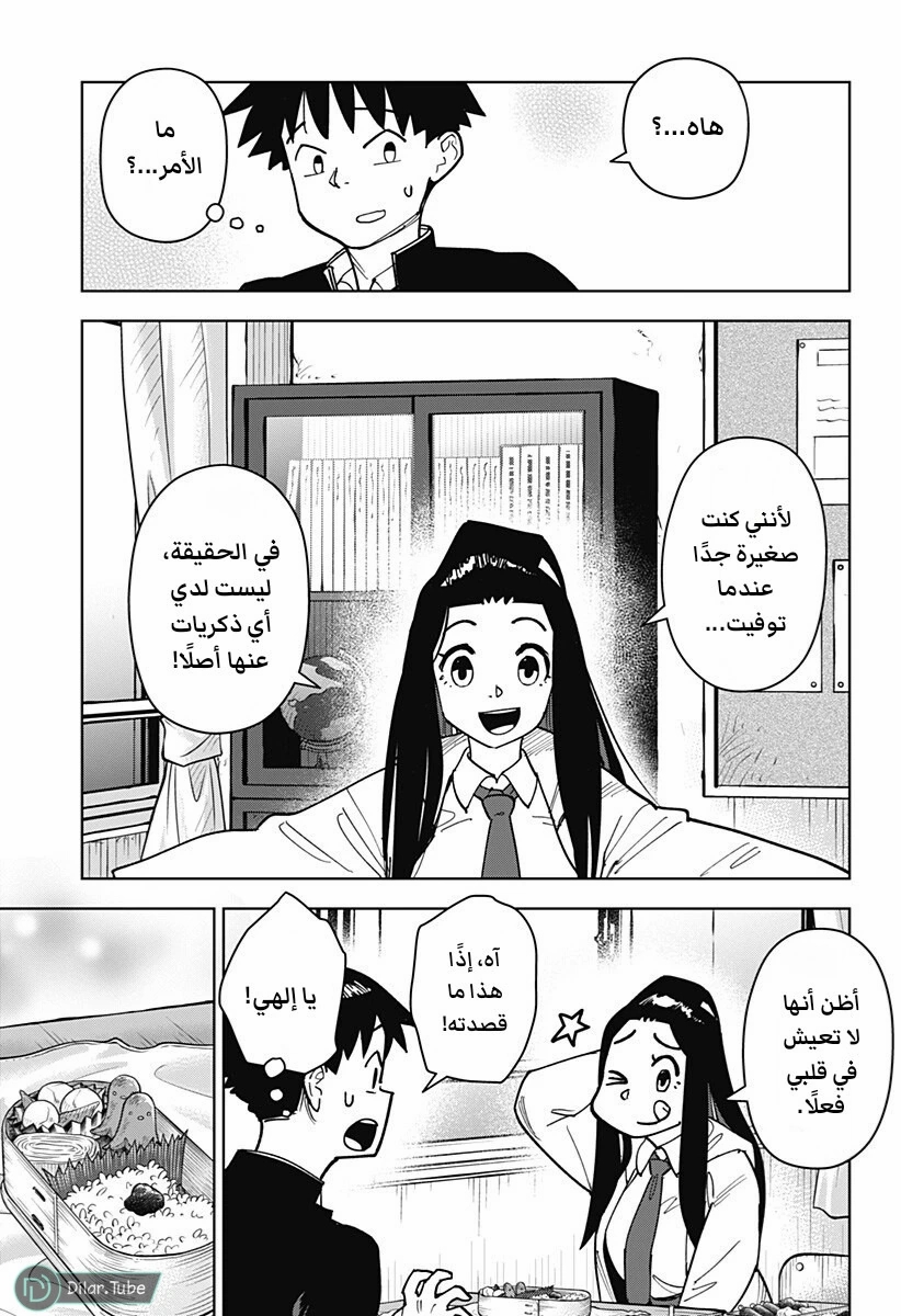 الصفحة 12