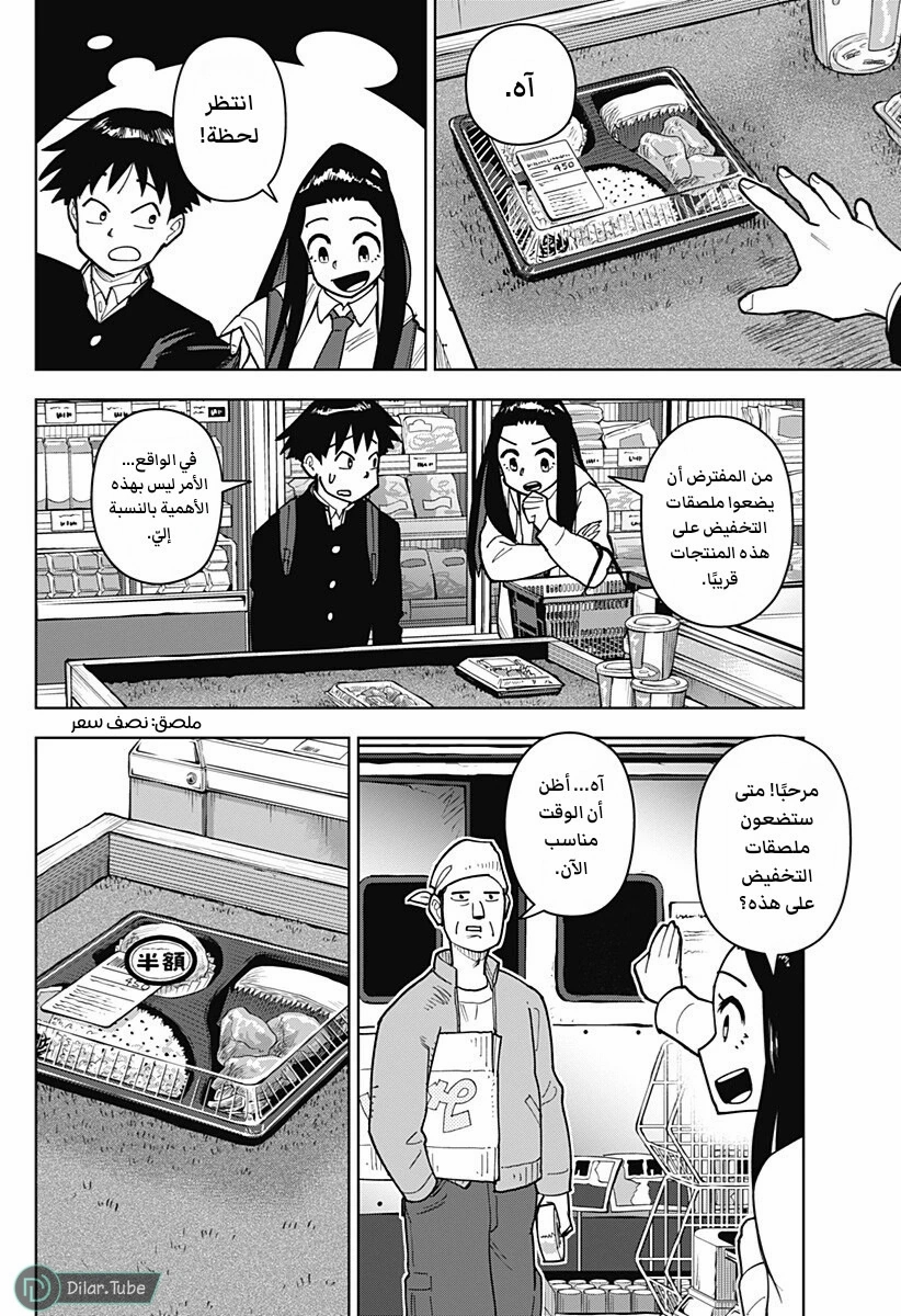 الصفحة 13