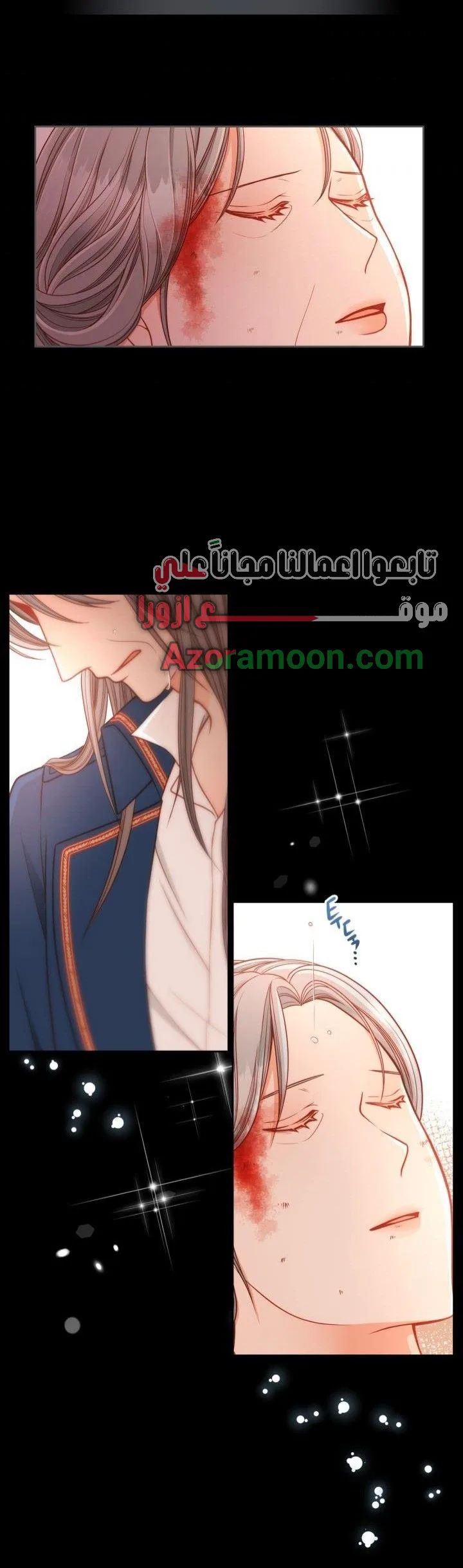 الصفحة 13