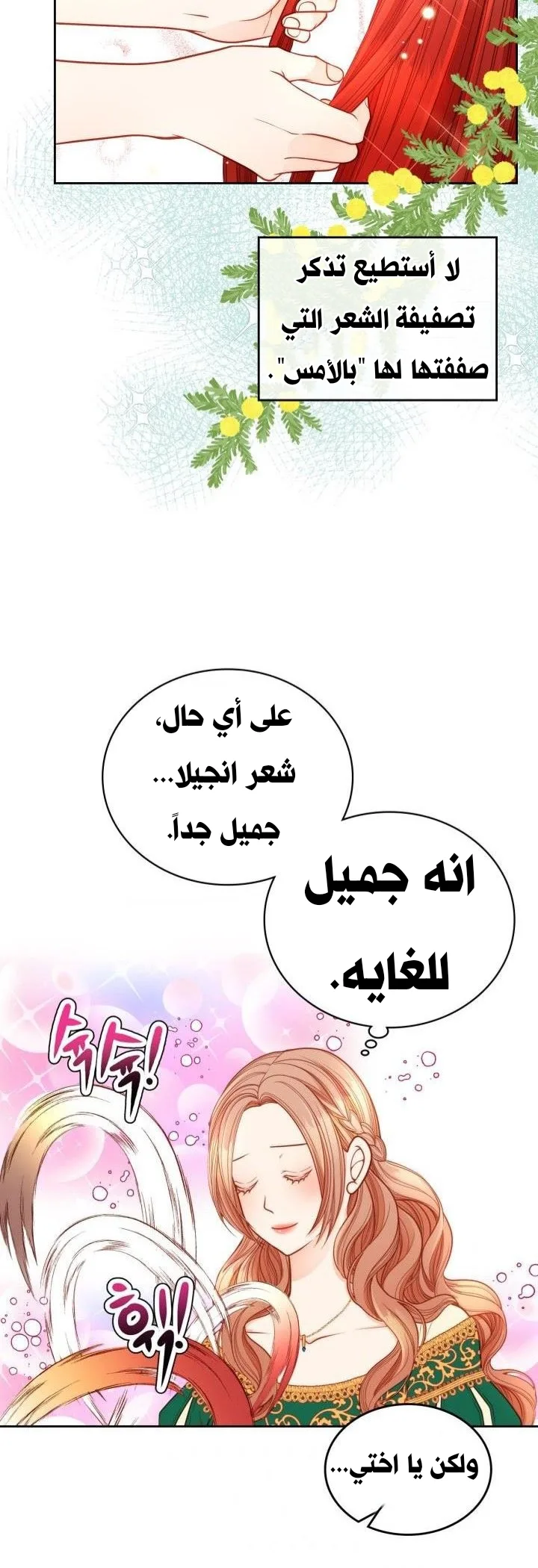 الصفحة 27