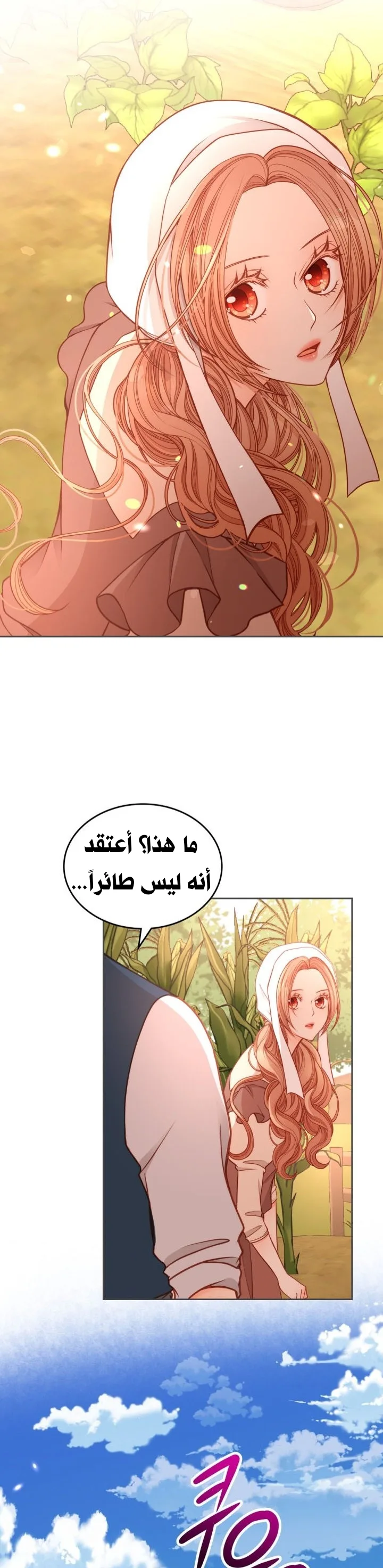 الصفحة 24